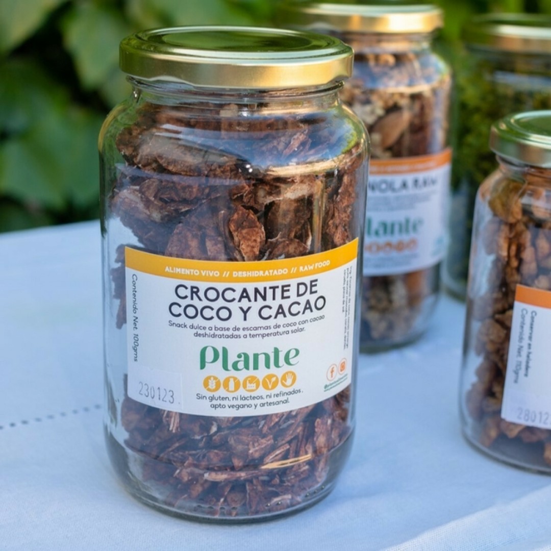 plante-crocante-de-coco-y-cacao-90-gr-2000001003396